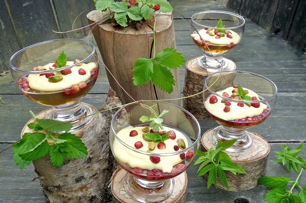 Gelee von Holunderblüte mit Mövenpick Bourbon-Vanilleeis & Walderdbeeren