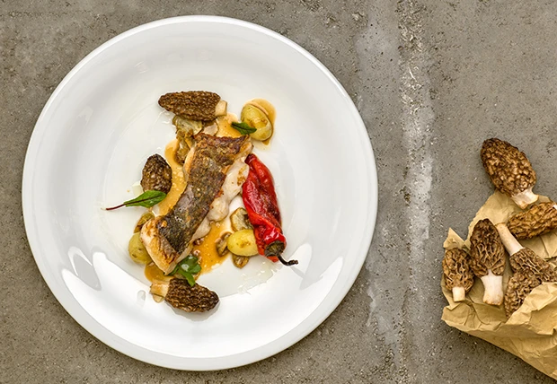 Gebratener Waller, Spitz-Morcheln & braune Butter