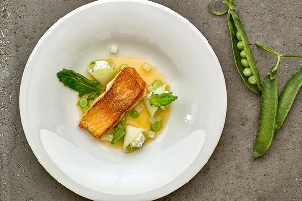 Eingelegte Goldforelle mit Kohlrabi und Erbsen