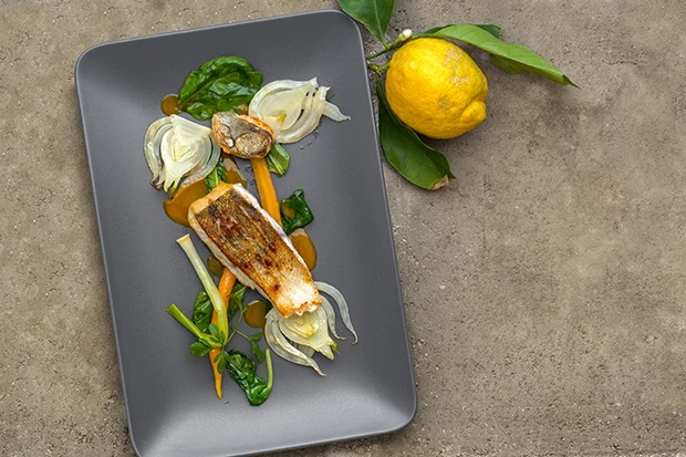 Gebratener Zander mit Fenchel & Karotten&ouml;l