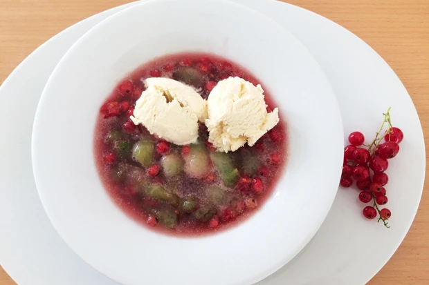 Ribisel-Melonens&uuml;ppchen mit Eis