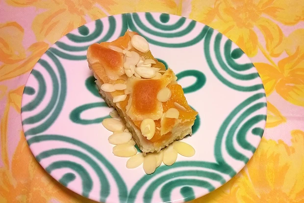 Marillenkuchen