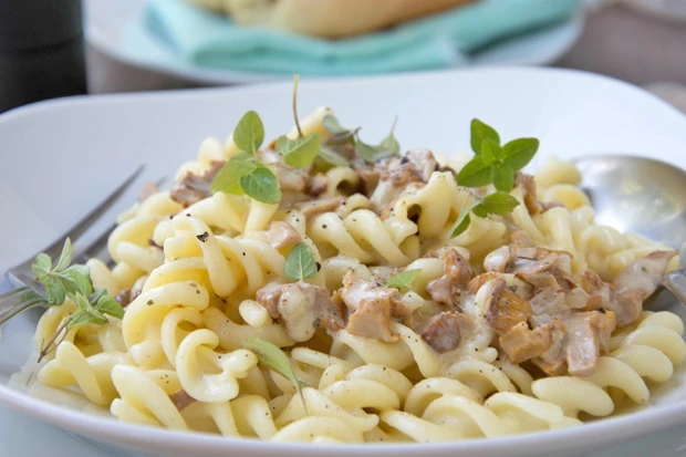 Pasta mit Pilzrahm-Sauce