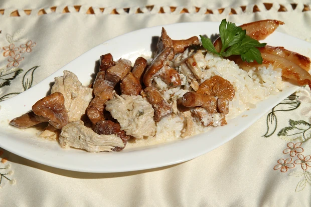 Huhn in Eierschwammerl - Sauce