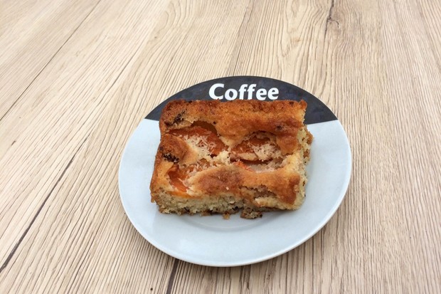 Marillenkuchen mit Kokos