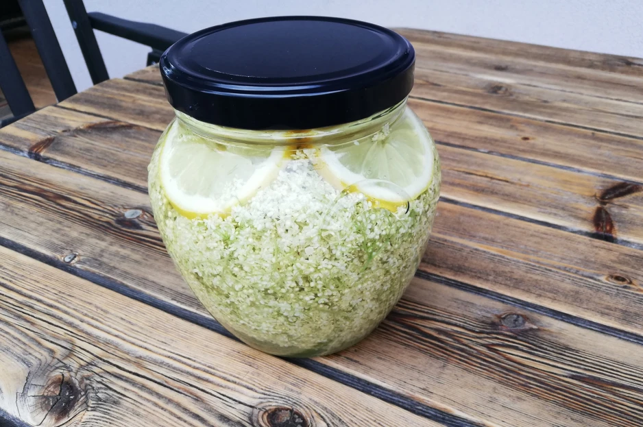 Holundersekt
