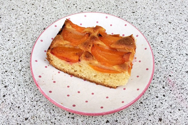 Marillen-Marzipan Kuchen