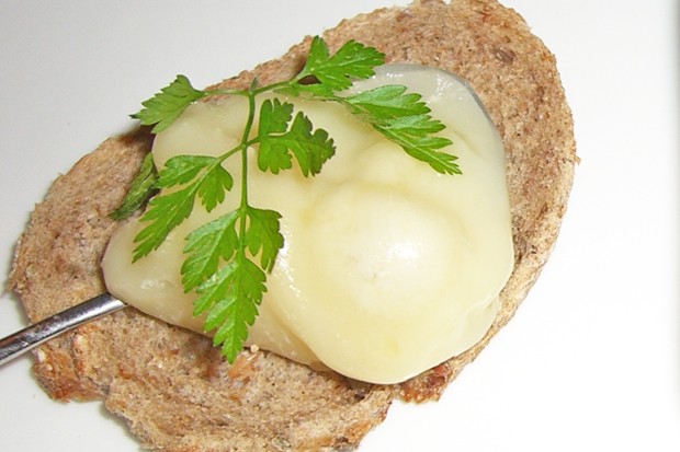 Brot mit geschmolzenem Käse