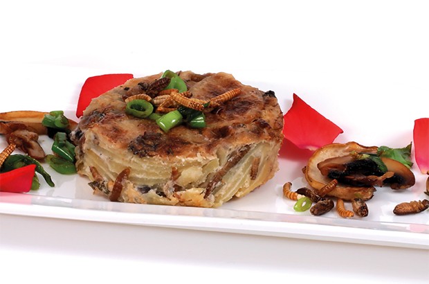 Mehlwurm-Grillen-Kartoffelauflauf mit Champignons