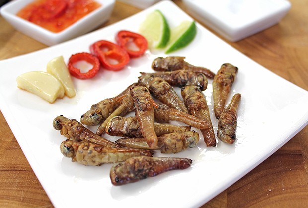 Frittierte Heuschrecken