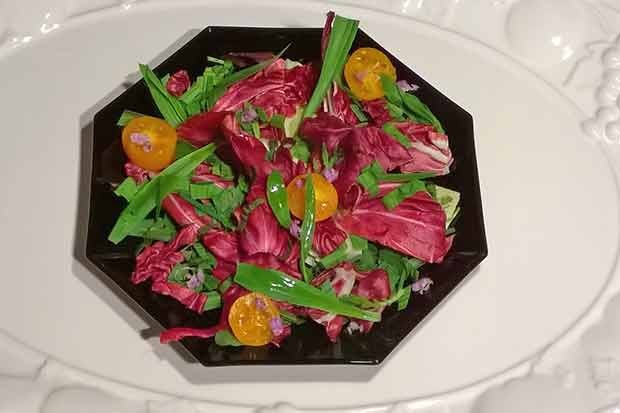 Spitzwegerich Salat mit Radicchio