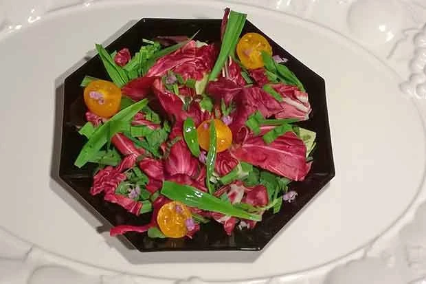 Spitzwegerich Salat mit Radicchio