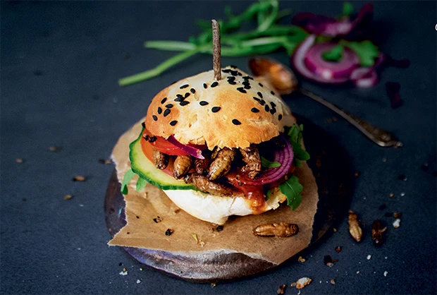 Mini-Burger mit Grillen