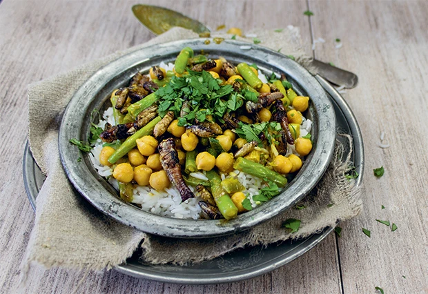 Asiatische Insekten Pfanne mit Jasminreis