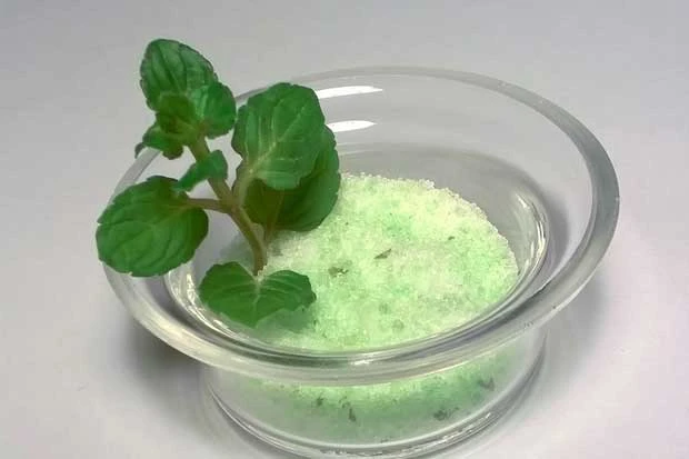 Gr&uuml;ner Pfefferminze-Zucker