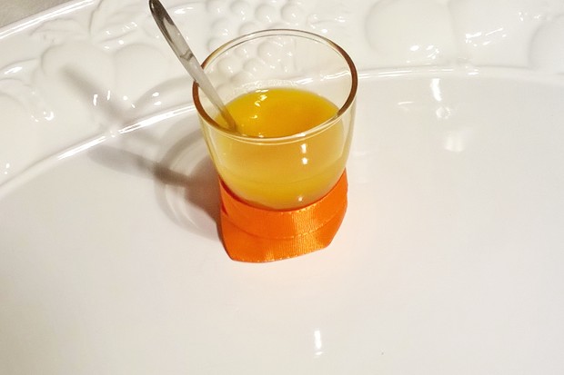 Mango-Pudding
