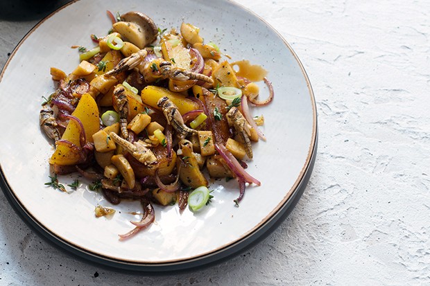 Gröstl mit Salzheuschrecken