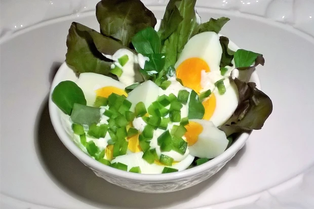 Eiersalat mit gr&uuml;nem Paprika auf rotem Pfl&uuml;cksalat
