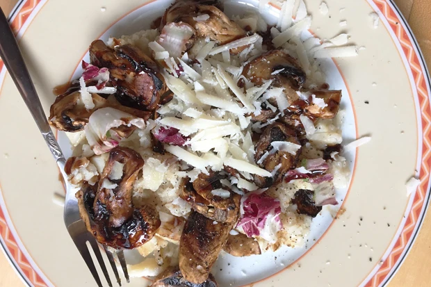 Risotto mit Pilzen
