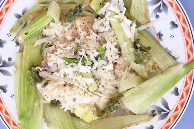 Fenchelrisotto