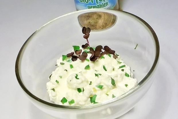 Cottage Cheese mit B&auml;rlauch