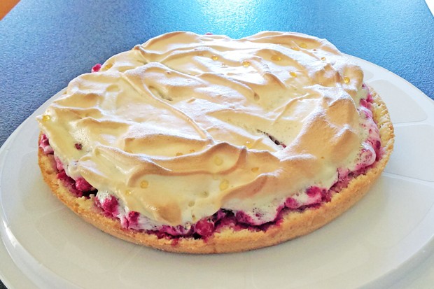 Ribiselkuchen mit Schneehaube