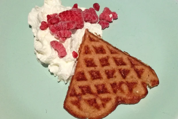 Low-Carb-Waffeln mit Kokosraspeln
