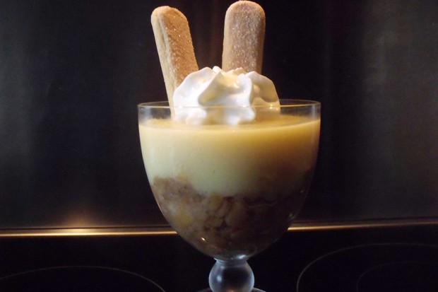 Vanillepudding-Schichtdessert