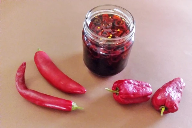 Chilischoten in Sojasauce