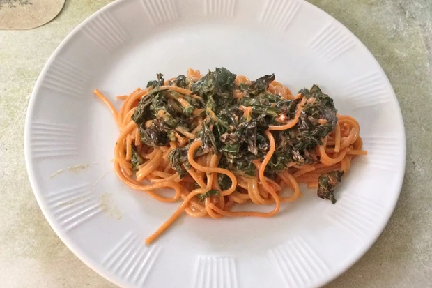 Spaghetti mit Mangoldsauce
