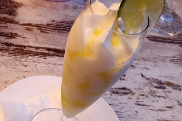 Zitronen-Wodka-Sorbet
