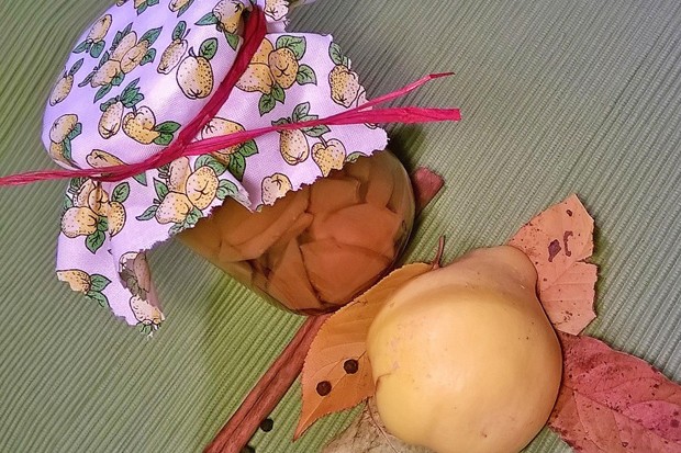 Eingelegte Birnenquitten mit Pfeffer und Zimt