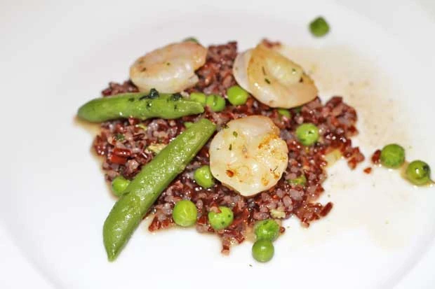 Garnelen auf rotem Risi e Bisi