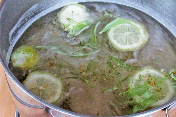 Lindenbl&uuml;tensaft