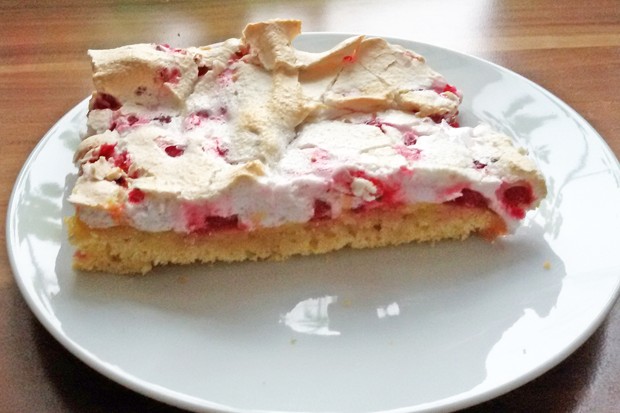 Ribiselschnitte