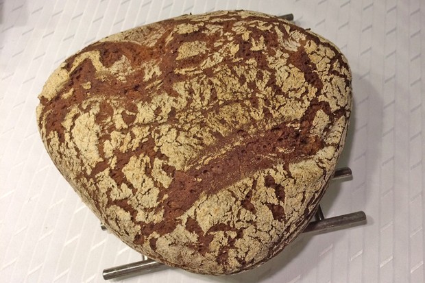 Bauernbrot