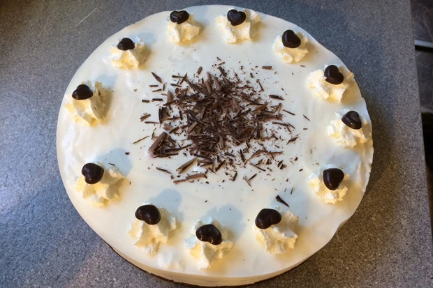 Vanille-Joghurt-Torte