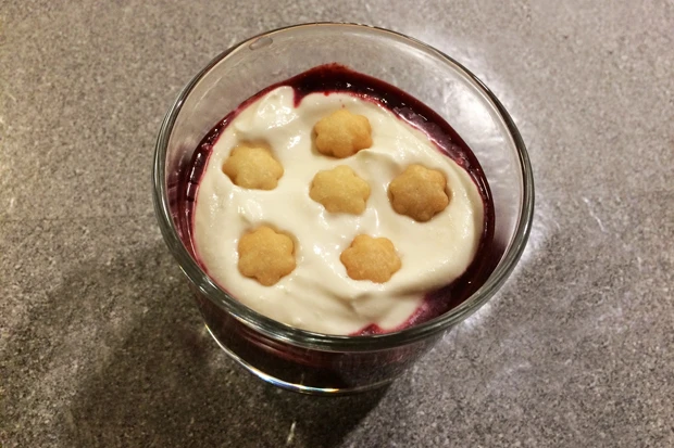 Hollerbeeren-Dessert