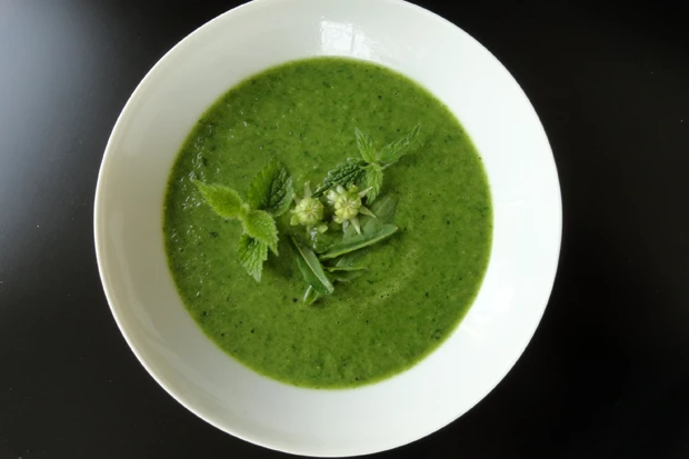 Wildkräutersuppe