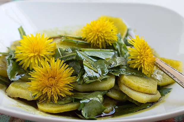 Fr&uuml;hlingshafter Kartoffelsalat