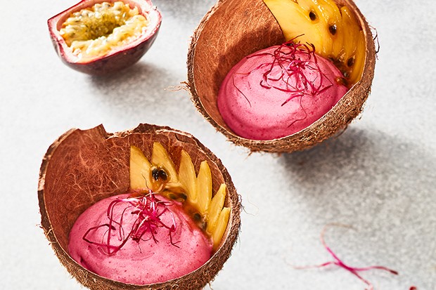 Rote Rüben-Kokosschaum mit Mangoragout