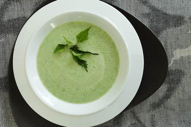 Brennnesselsuppe - Rezept