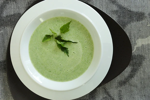 Brennnesselsuppe