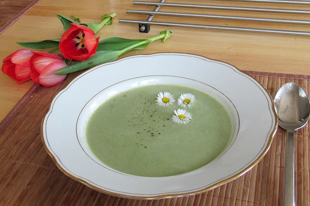 Brennnesselsuppe