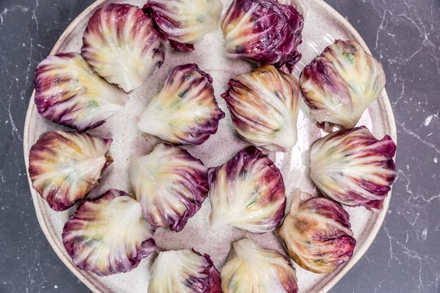 Radicchio Knödel