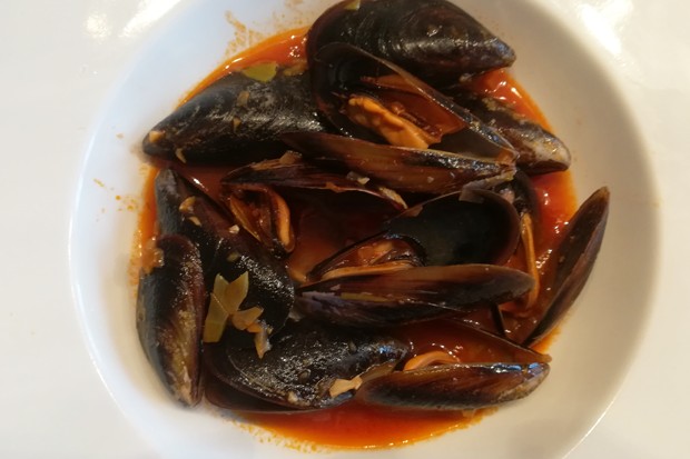 Miesmuscheln in Tomaten-Weißweinsauce