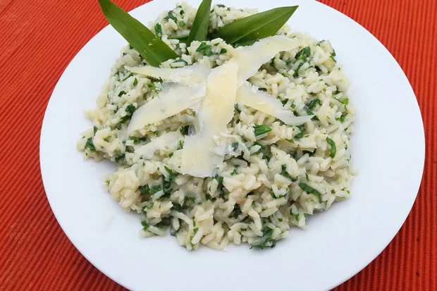 B&auml;rlauchrisotto