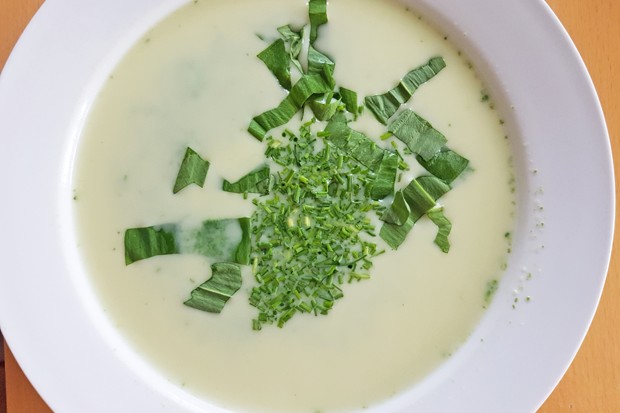 Bärlauchsuppe mit Schnittlauchröllchen