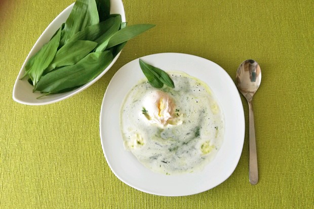 Bärlauchsuppe mit Ei
