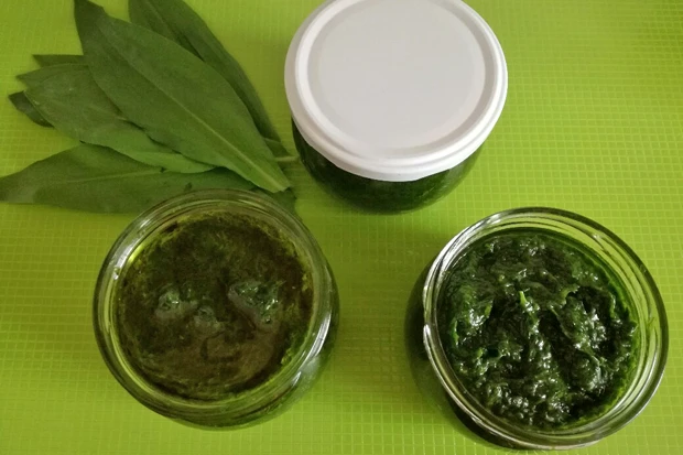 Bärlauchpaste